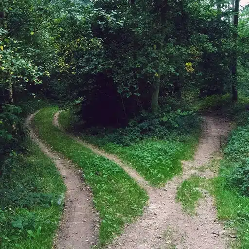 Payday Loans vs Installment Loans